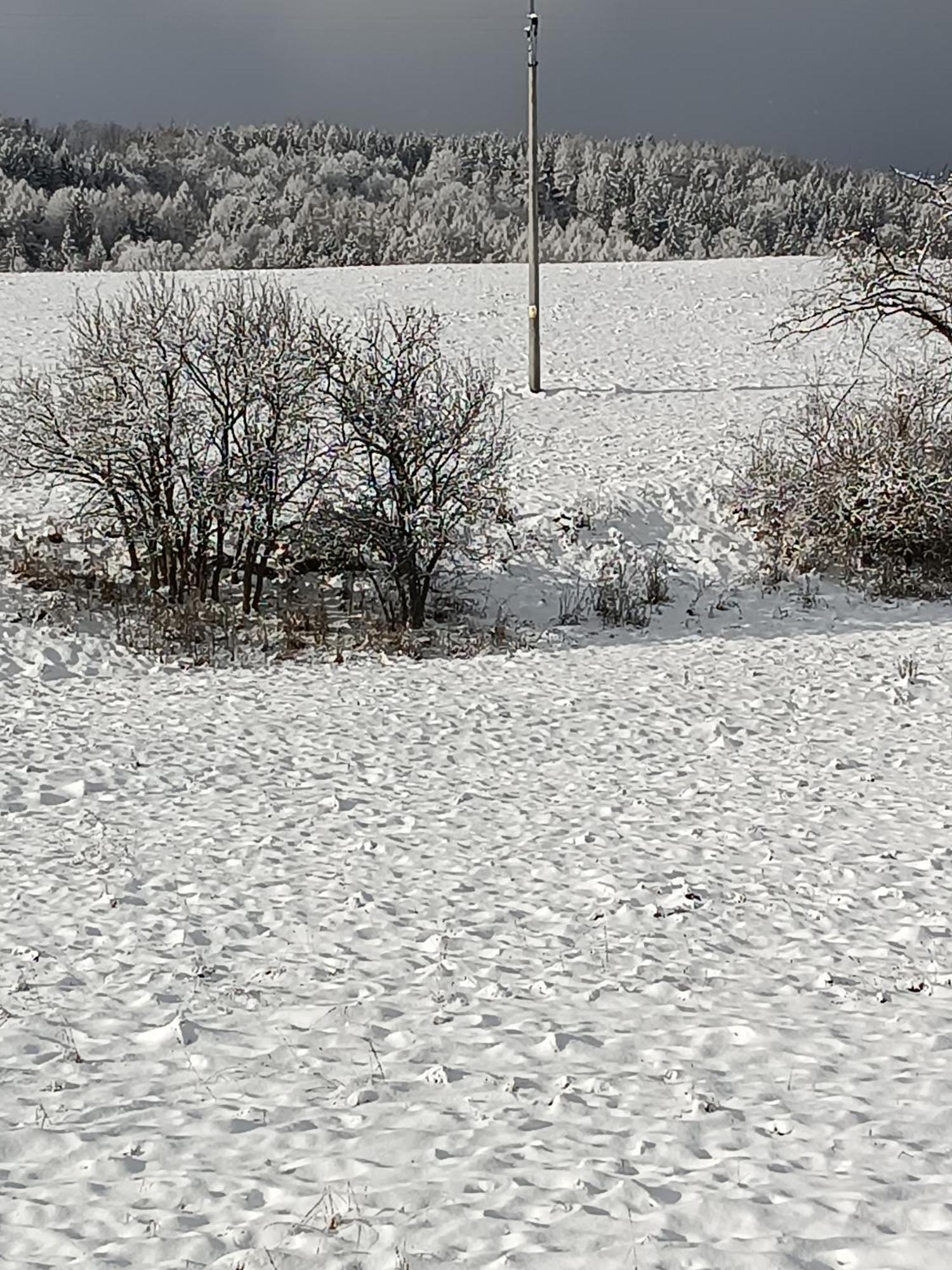 Apartmán Ubytovani U babicky Velké Losiny Exteriér fotografie