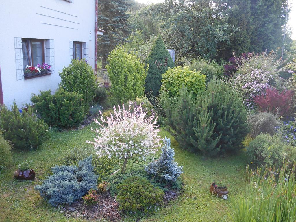 Ubytovani U babicky Velké Losiny Exteriér fotografie
