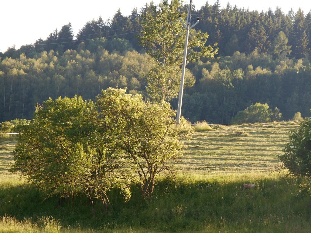 Ubytovani U babicky Velké Losiny Exteriér fotografie